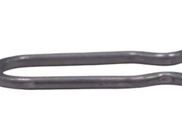 Genuine GM Multi-Purpose Clip 55555982