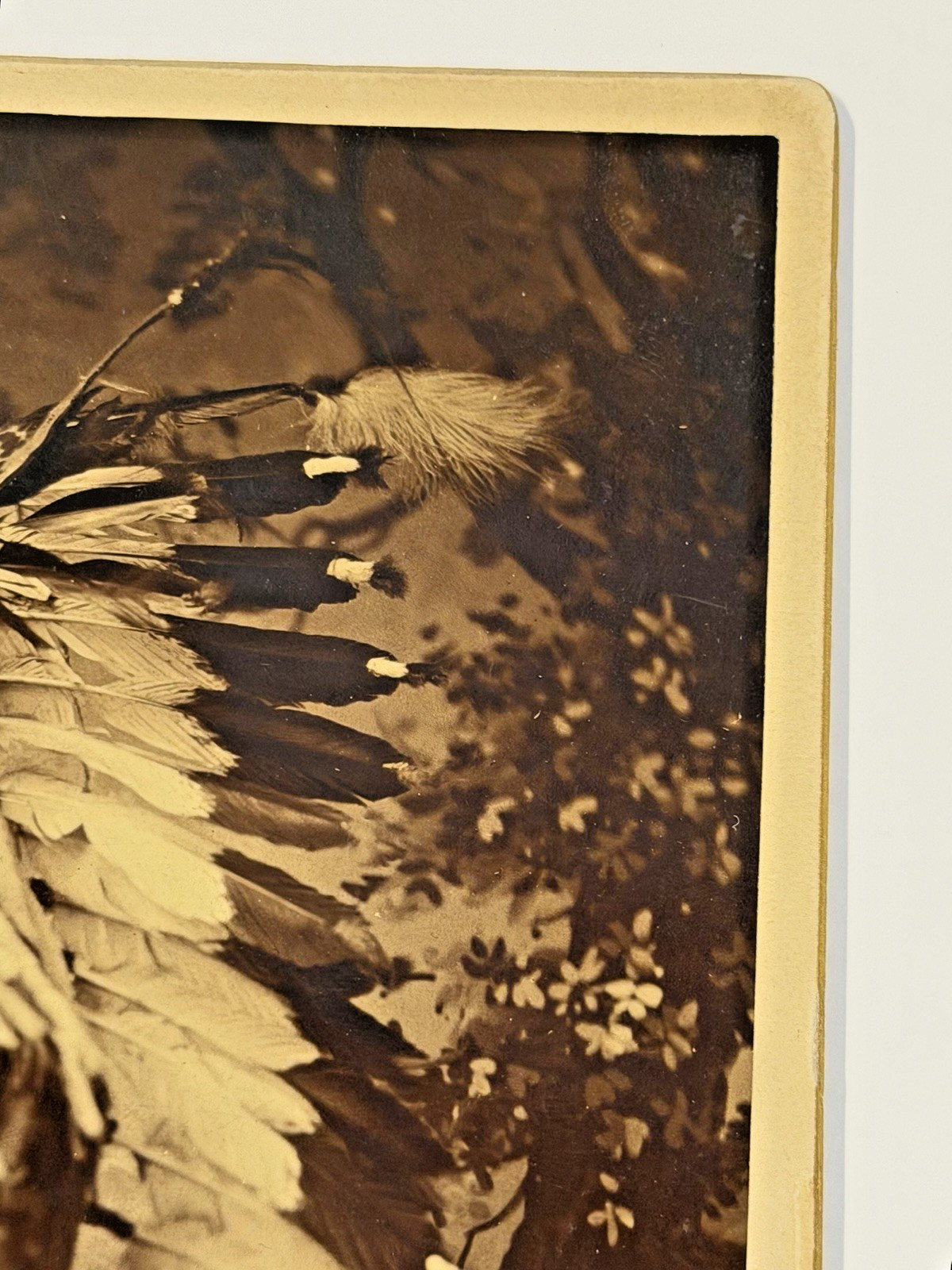 Antique Native American Indian Albumen Print "Chief John Grass" By: D. F. Barry