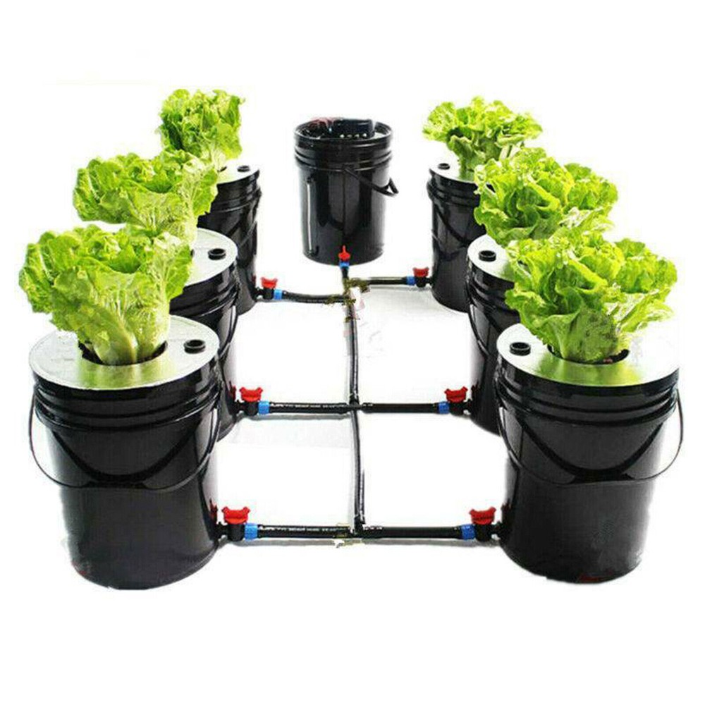 DWC 5 Gal 6 Bucket Hydroponics Growing System Recirculating Growing Set