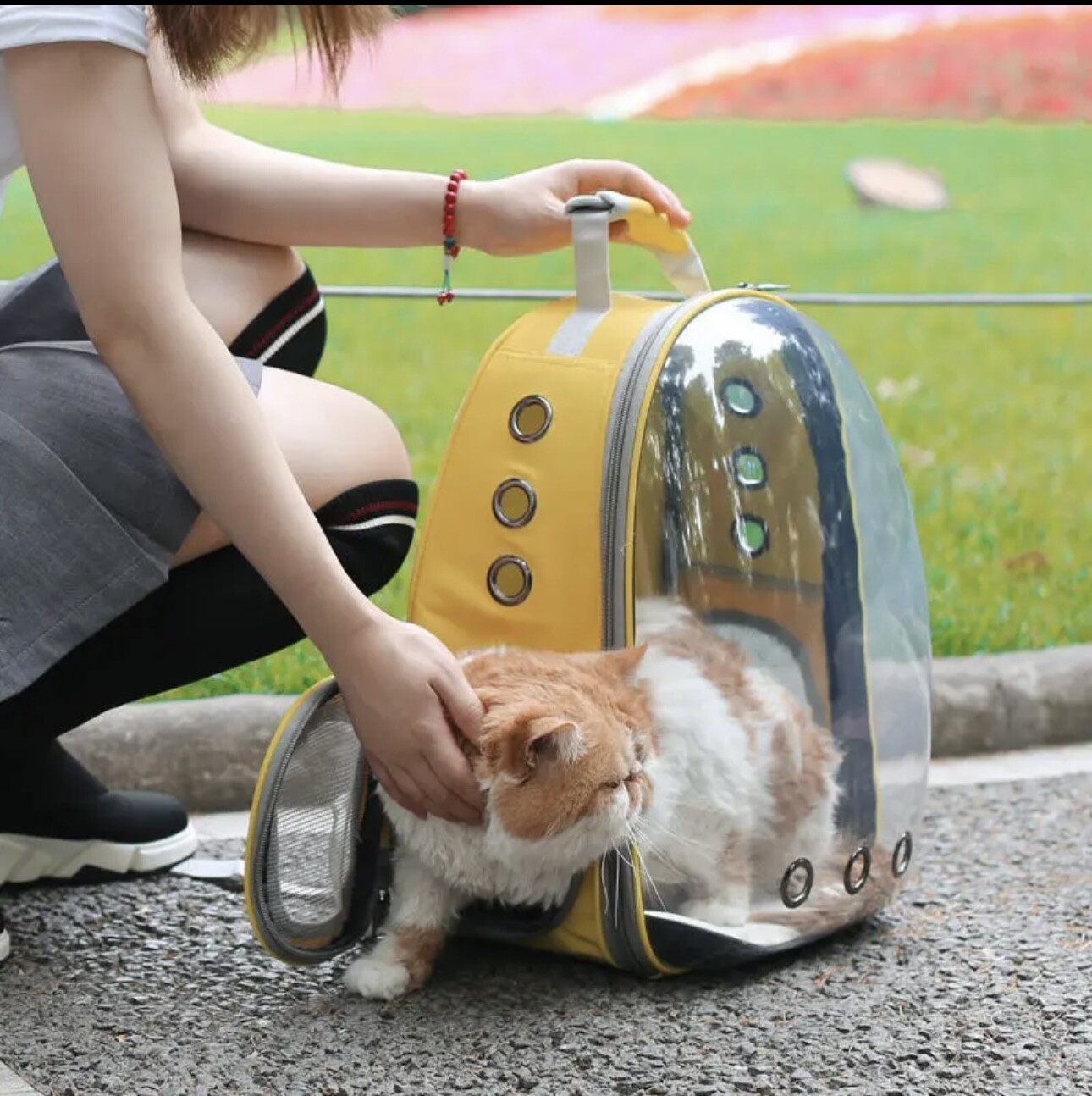 Pet Capsule Carrier Breathable Small Pet Bag Outdoor Transparent Travel 12x15x8