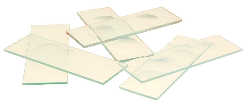 EISCO Microscope Slides with Single Concavity, 10/PK Clear