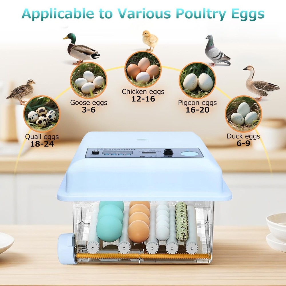 Incubators for Hatching Eggs 16 Egg Automatic Egg Incubator with Temperature Con