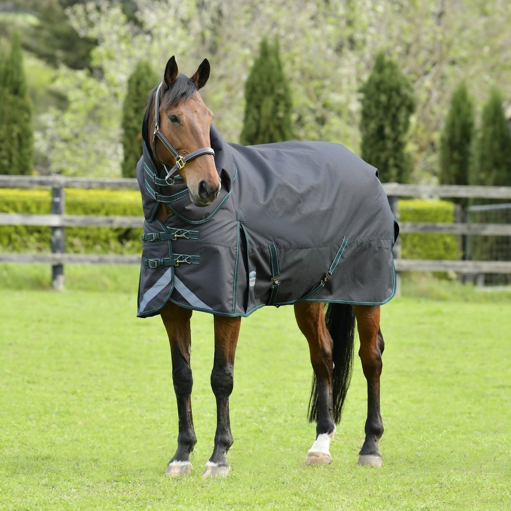 WeatherBeeta ComFITec Plus Dynamic II Detach-a-Neck Turnout Blanket, Medium