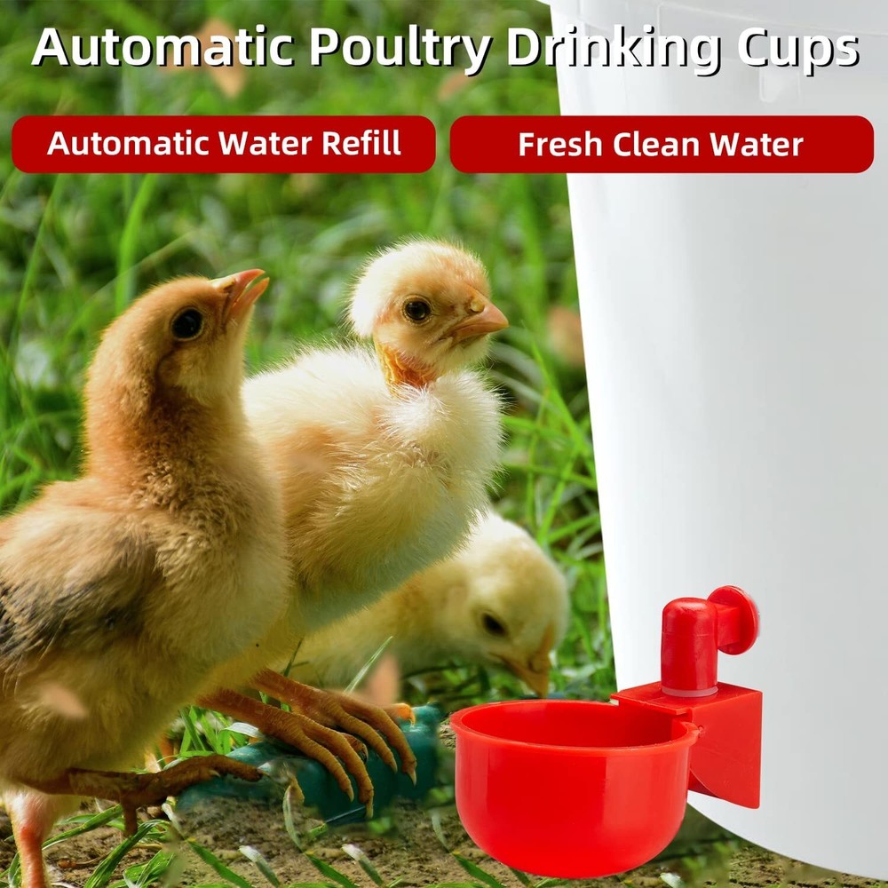 6PCS Automatic Water Cups Poultry Drinker Waterer Chicken Duck Quail Drinking US