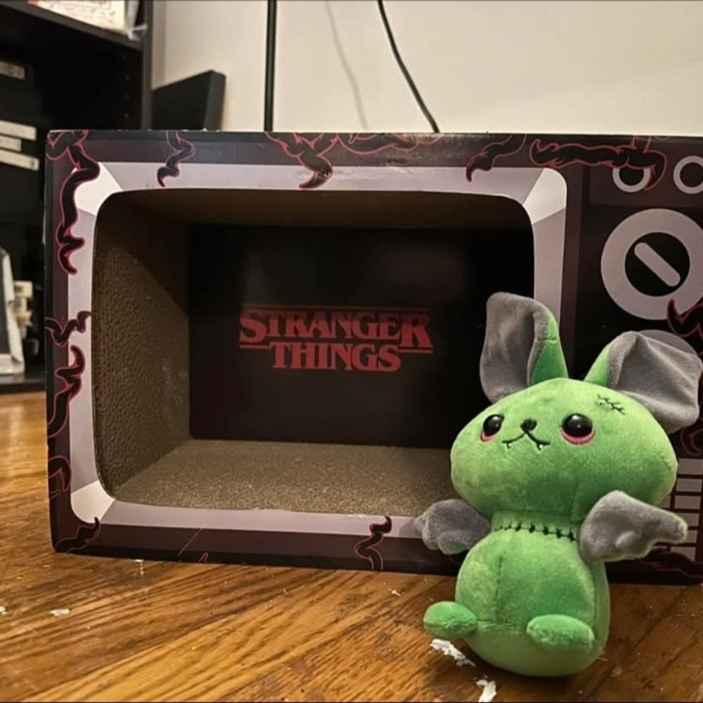 Stranger Things Cat Scratcher - Black and Red
