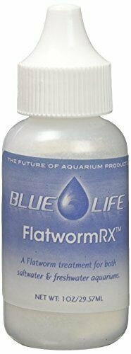 Blue Life USA Flatworm Control .25 oz