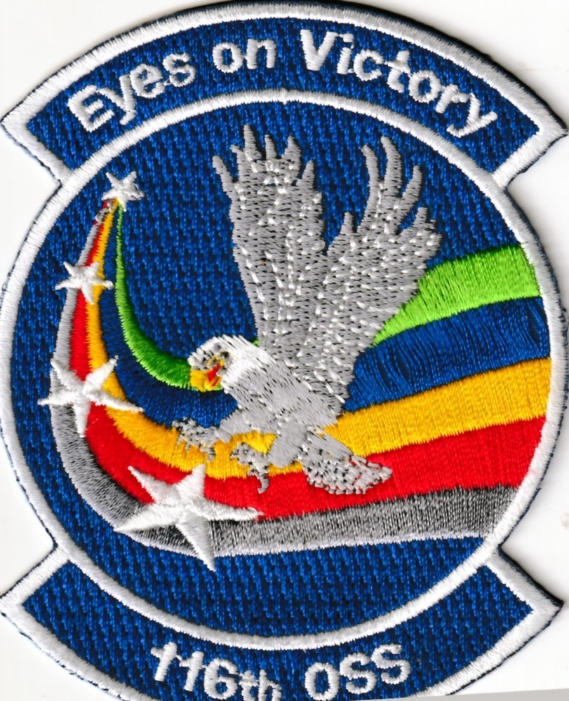 USAF AIR FORCE 116th Operations Support Squadron Robins AFB Georgia patch