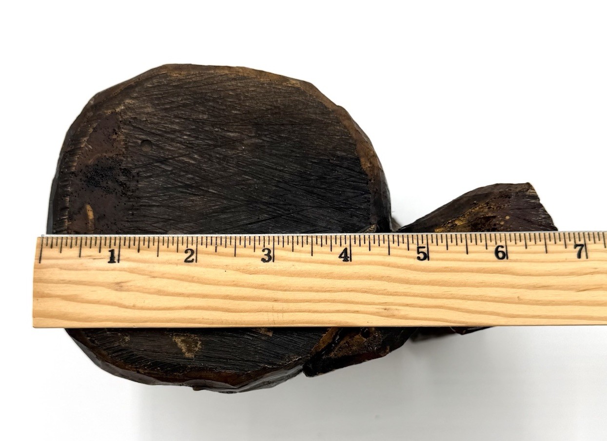 Hand Carved Wood Tankard Mug Lion Crest Rustic Medieval Decor