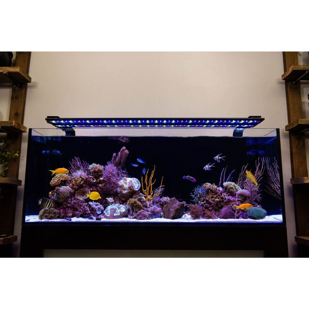 Orbit Marine 18"- 24" Bluetooth IC LOOP PRO Dual LED System (4334) - Current USA