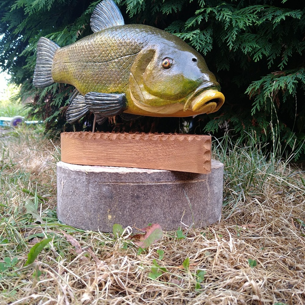 Tench Fishing , fish