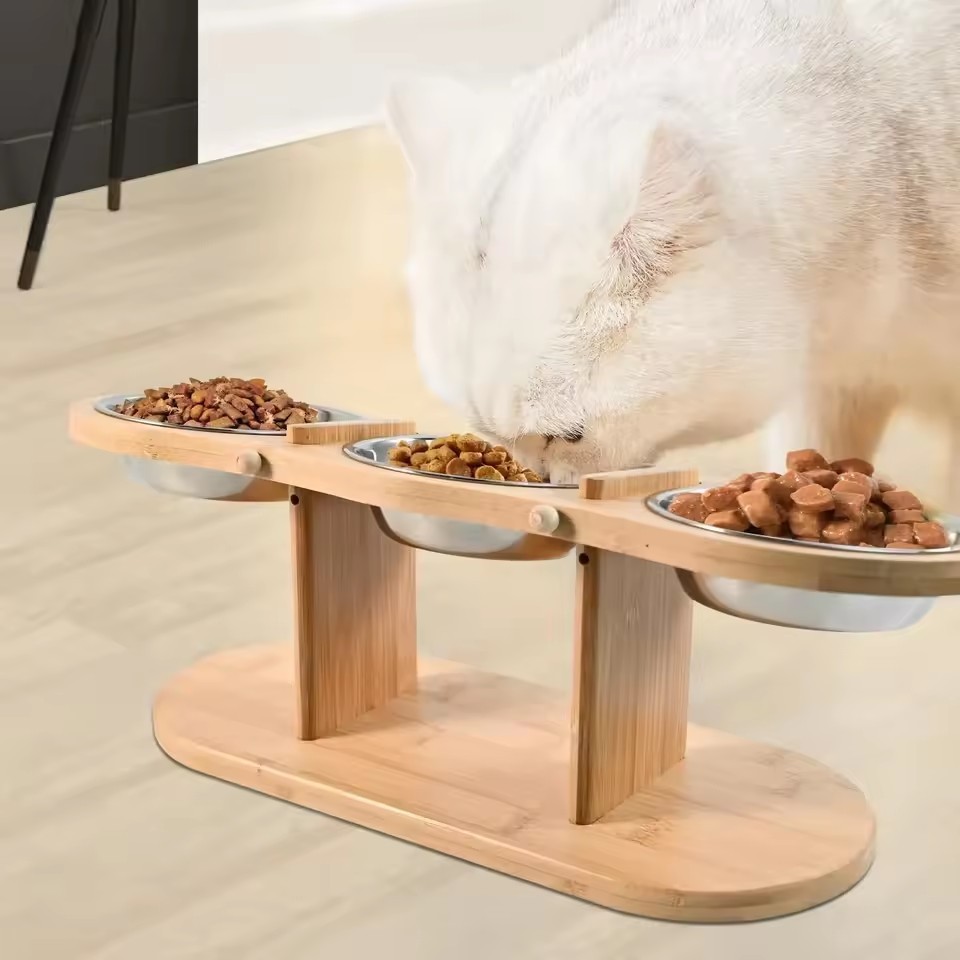 Elevated Cat Bowls Raised Food Bowls 15° Tilted Pet Bowls for Cats and Small Dog