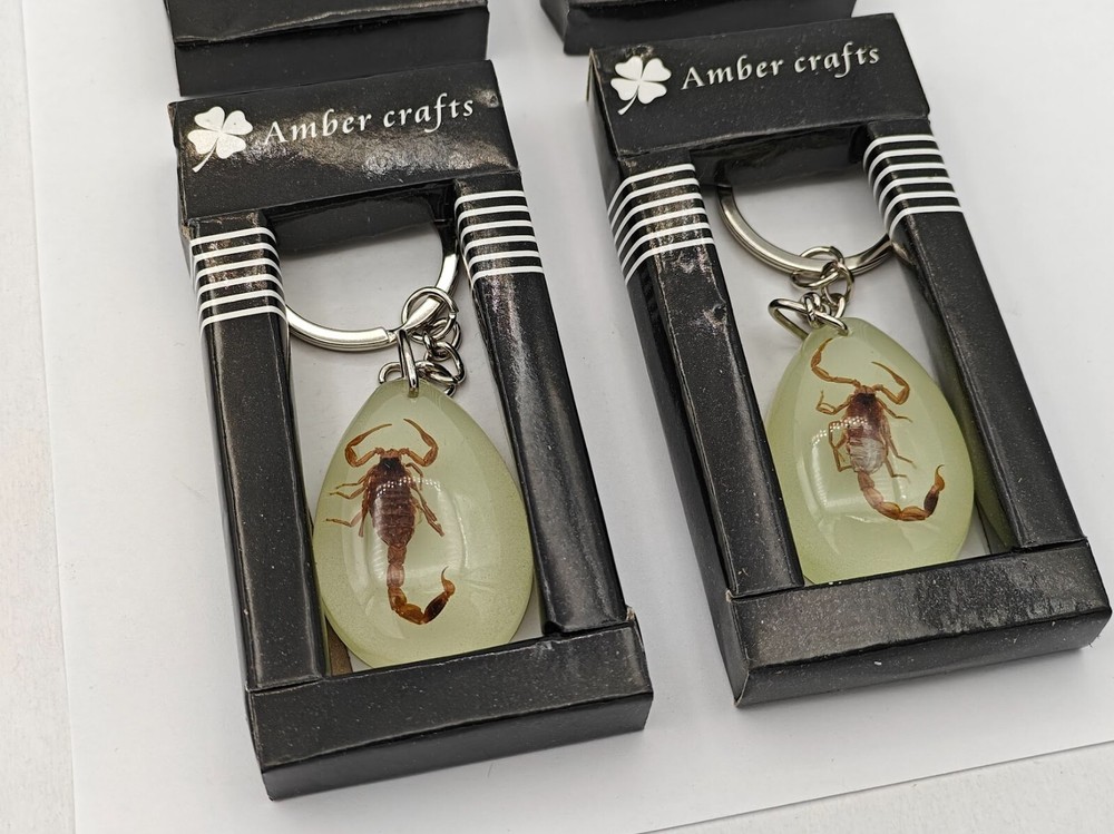 4 PACK! SCORPION Luminous Insect Glowing Keychain Glow in Dark Assorted Shape