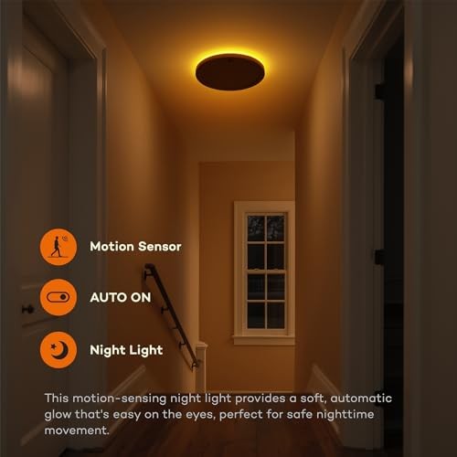 Motion Sensor Ceiling Light with Remote, Night Light 2000K, 8.7 Inch 1 Pack