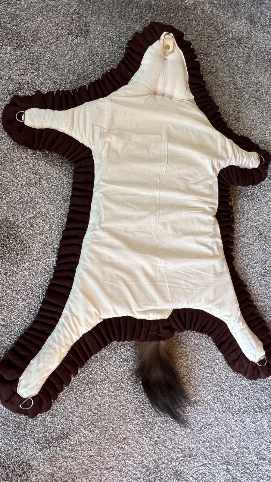 WOLVERINE Full Skin Rug Mount CANADA - Alaska Taxidermy Open Mouth Vintage