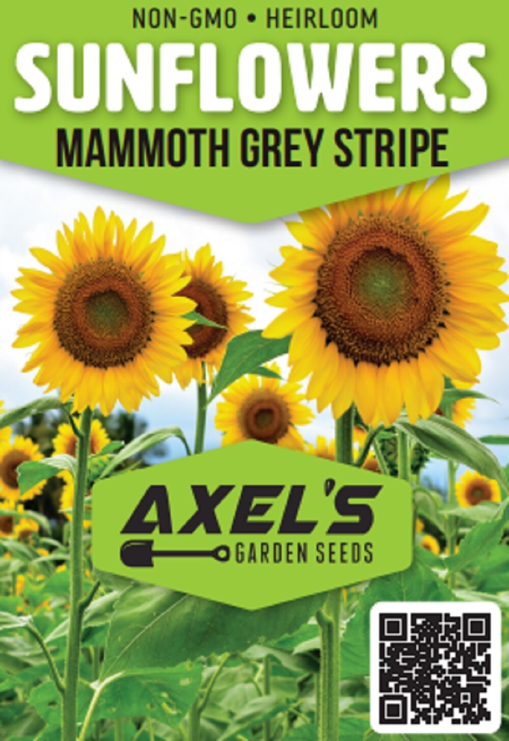 Giant Sunflower Seeds for Planting - Heirloom & Non-GMO - High Germination Seeds