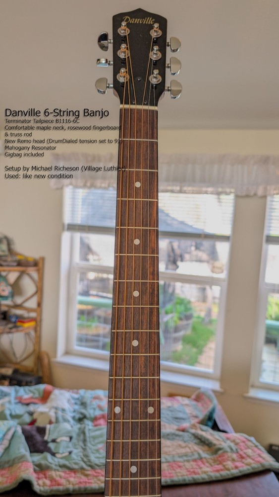 Danville 6-String Banjo