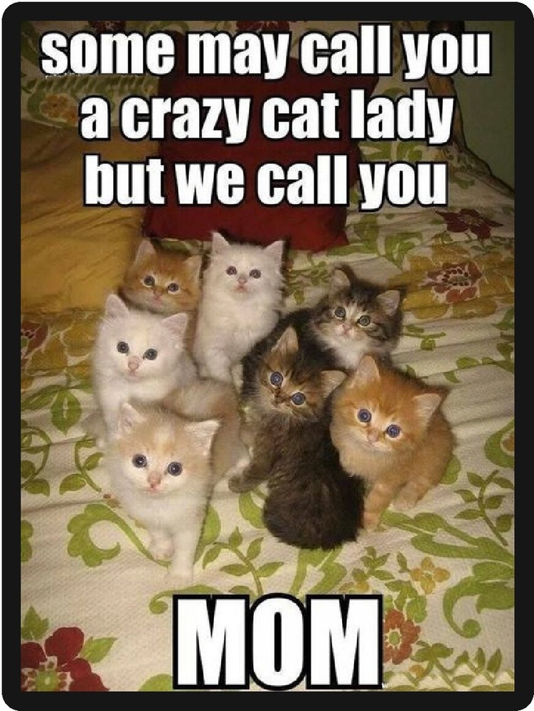 Funny Cat Mom Humor Refrigerator Magnet