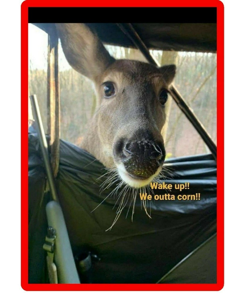 Funny Deer Hunter Corn  Refrigerator  / Tool  Box  Magnet
