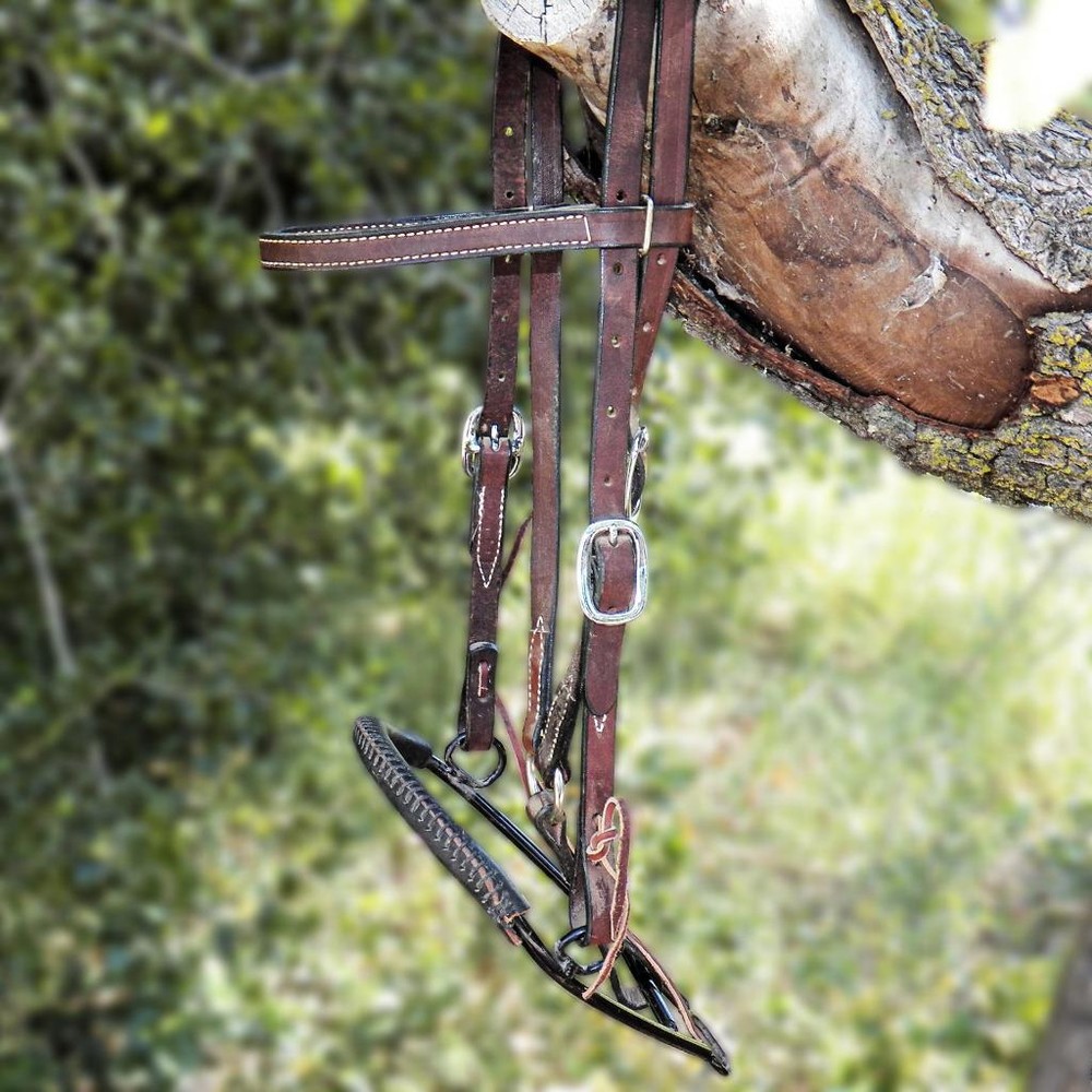 Rick Wheat Noavel Headstall Training Bitless Bosal Hackamore with Split Reins