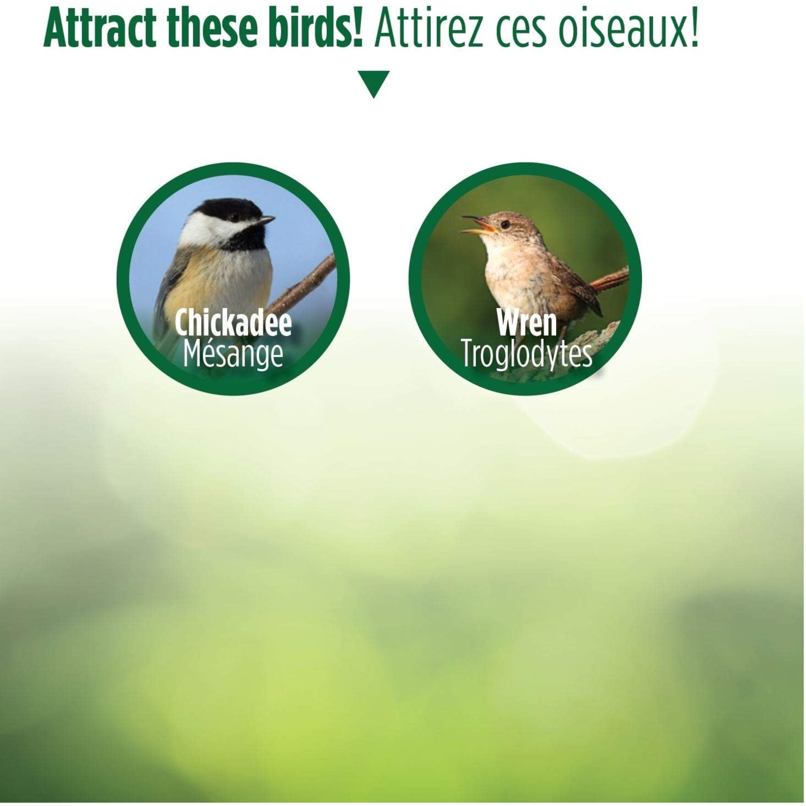 Wild Wings Cedar Box Wren Wild Bird Backyard House With Adjustable Door, Brown