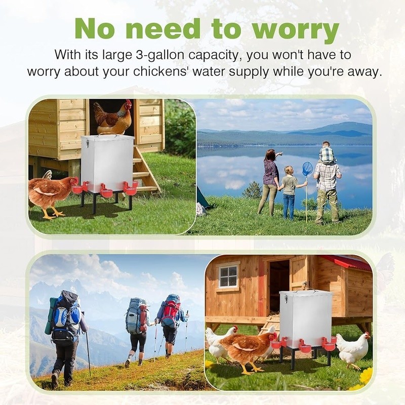 3 Gallons Chicken Waterer Stainless Steels Automatic with Latch Bottom Bracket