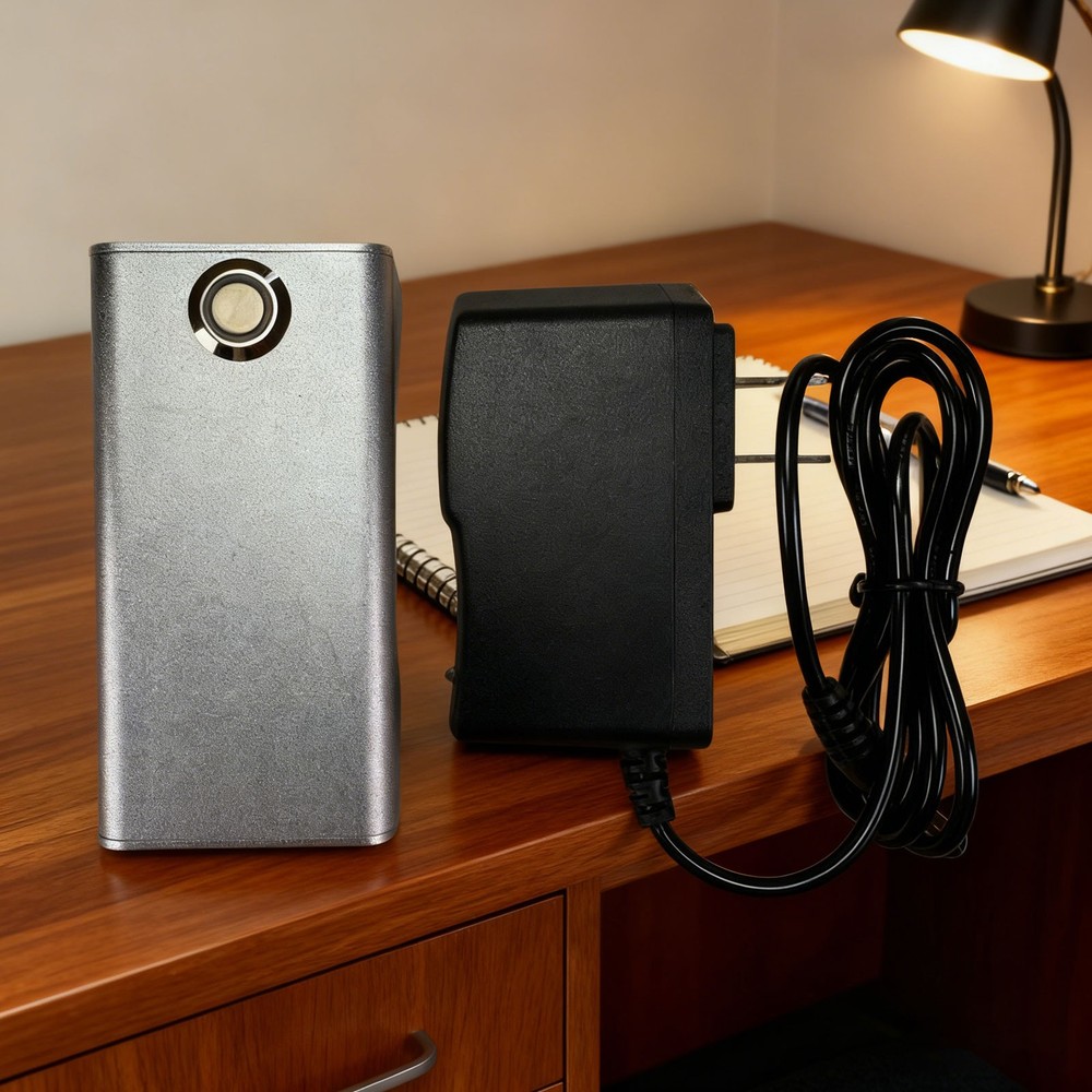 80W Handheld Laser Mosquito and fly tools Remote Igniter Work