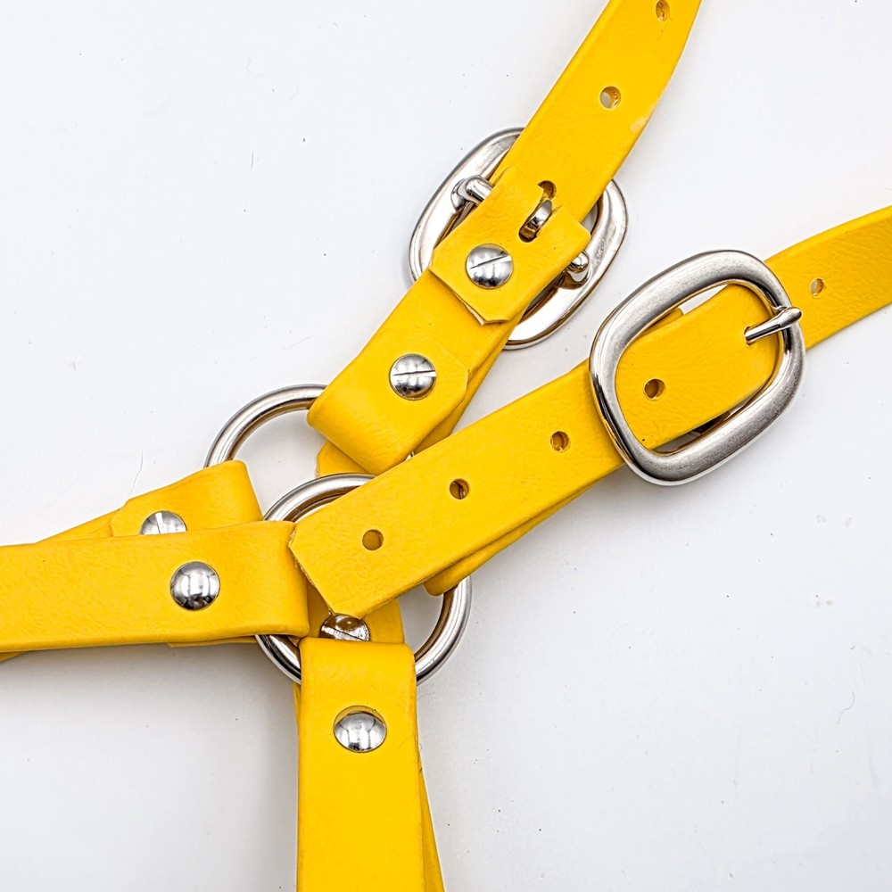 Biothane Horse Halter - Sunflowers