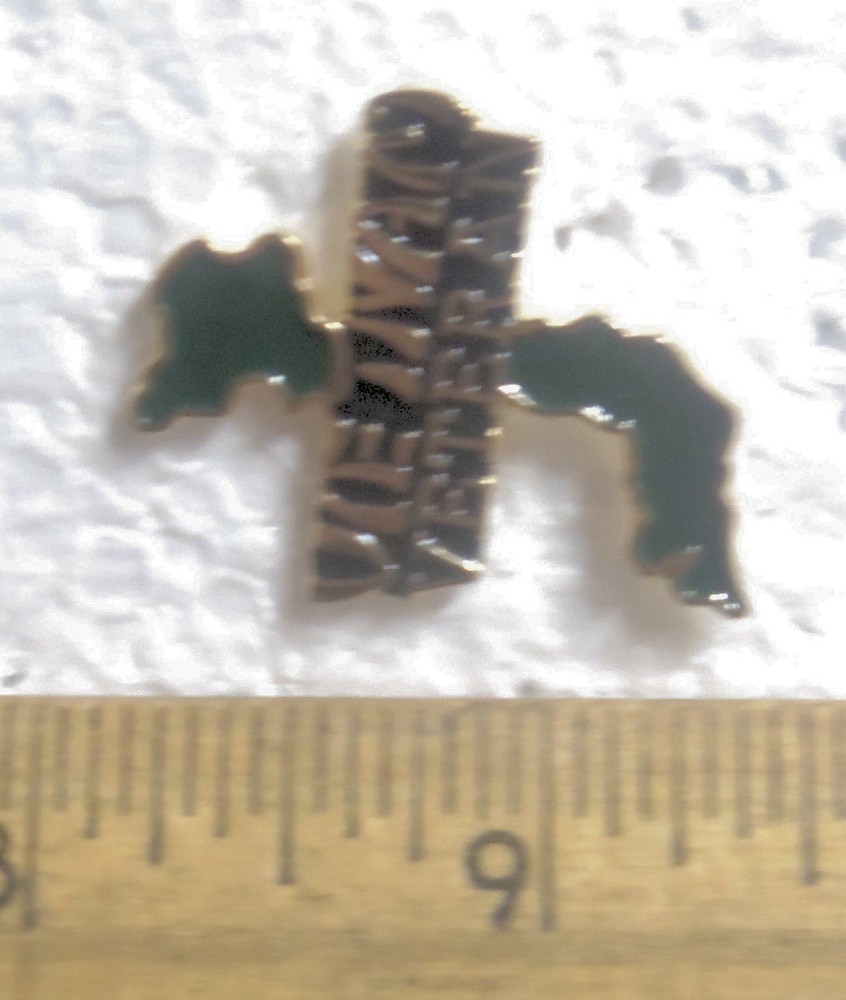 Vietnam Veteran Pin
