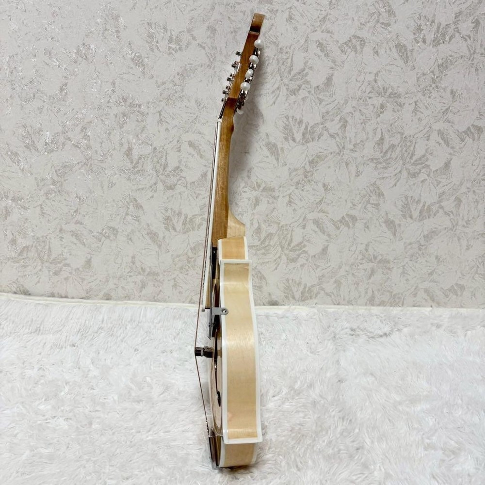 [Rare item] MYLOWE flat mandolin with hard case