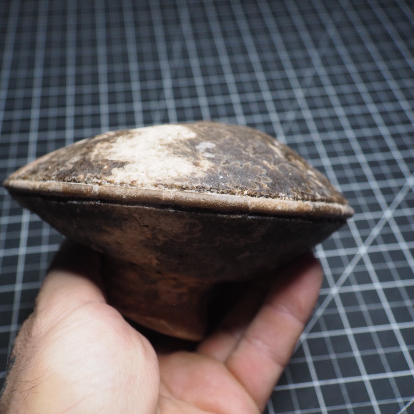 Study Specimen Choffaticeras Ammonite 155 mm 1.7 kg Fossil Siphuncle Cretaceous