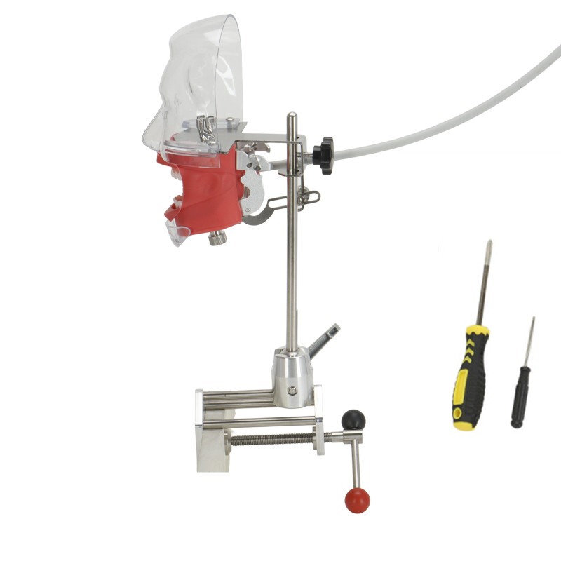 Dental Phantom Head w/ 32 Typodont Teeth Model Typodont Mount Fixed on Table