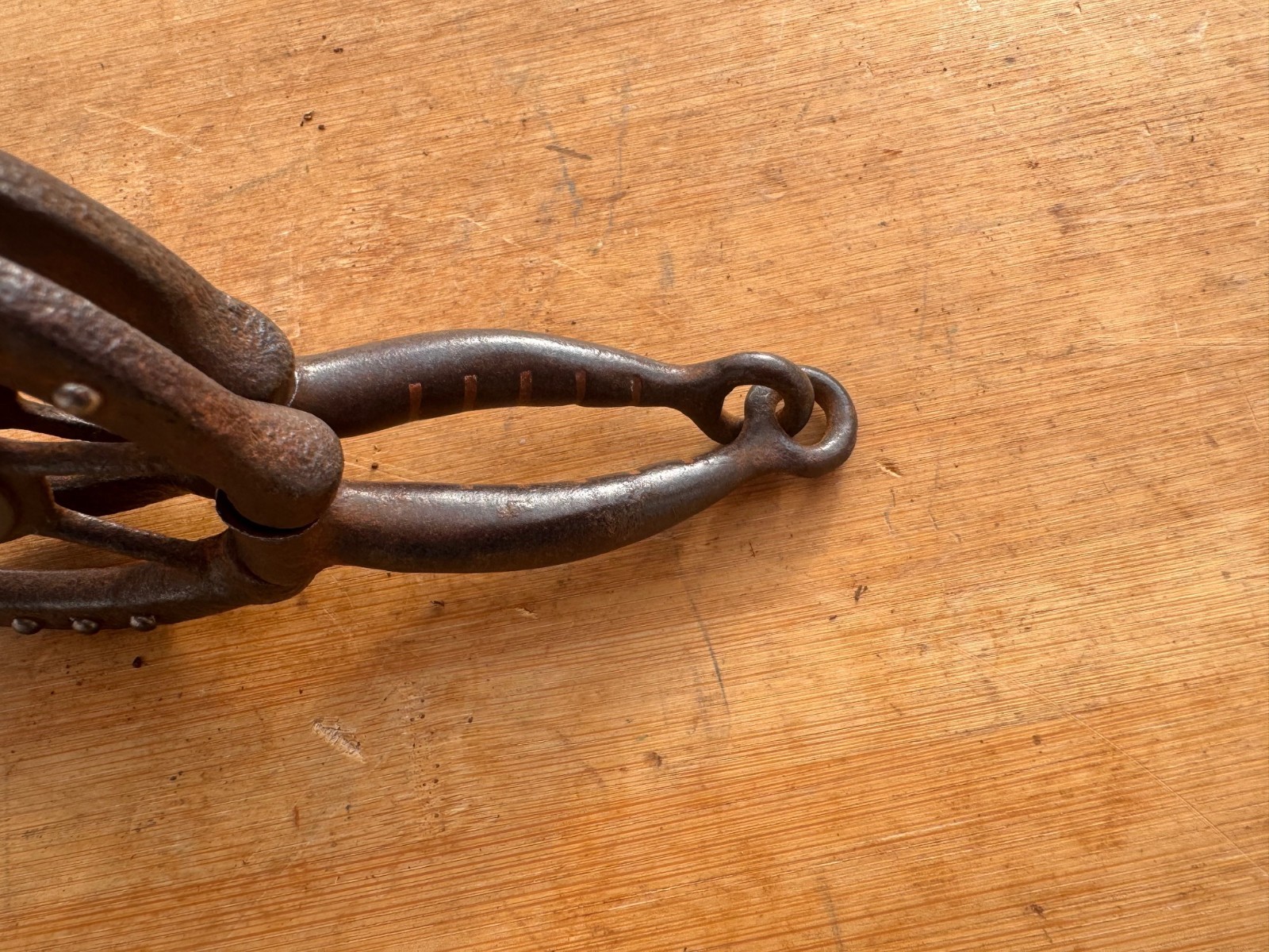 Vintage Star Concho Western Sweet Iron Snaffle Bit ~ 5"