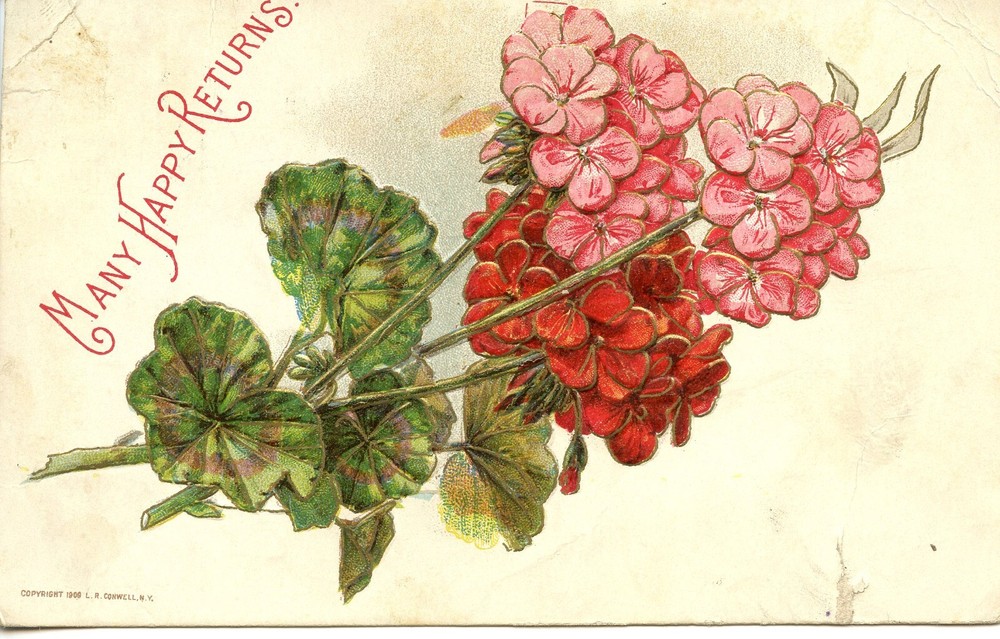 MANY HAPPY RETURNS - PC1083