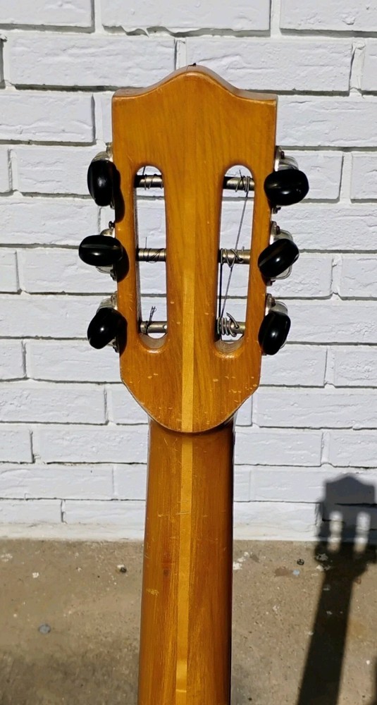 Nardan Acoustic Guitar w/CSC! -LL