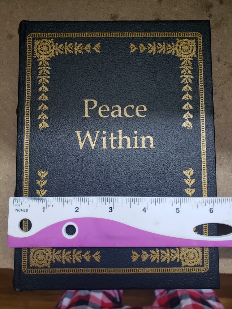 2 piece set Diversion Concealment Book Safe