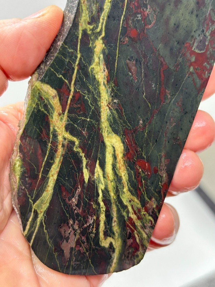 Unique Washington State Jasper Slab Cabbing Lapidary Combo Ship Avail