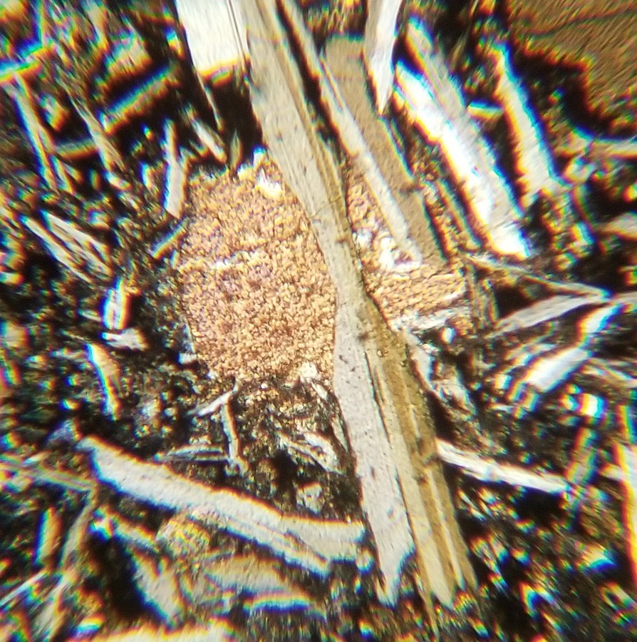 Thin-section Mount from DSDP Hole 483B Petrographic Microscope Slide 483B-23-2