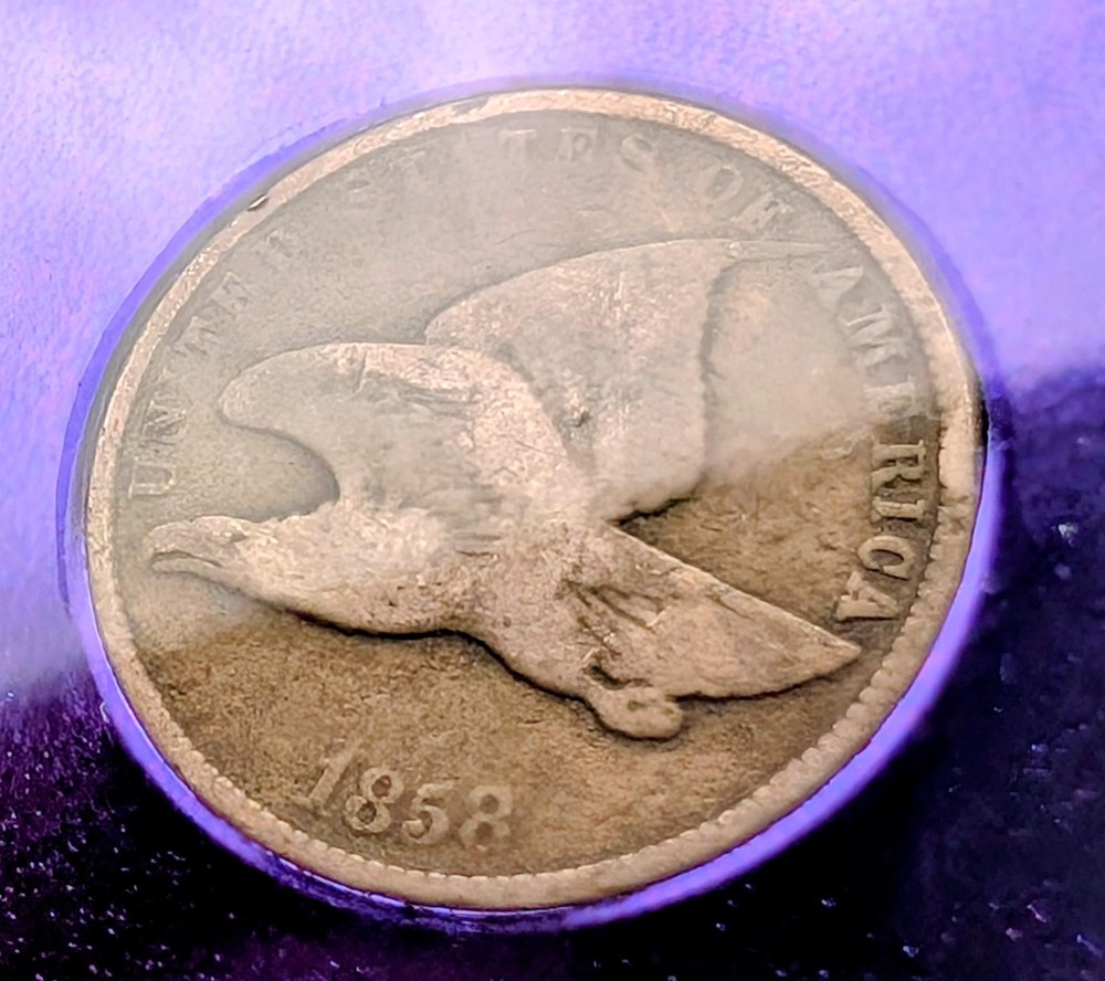 1858 FLYING EAGLE CENT ~ NGC BERT Sample Traderbea Purple Core Slab