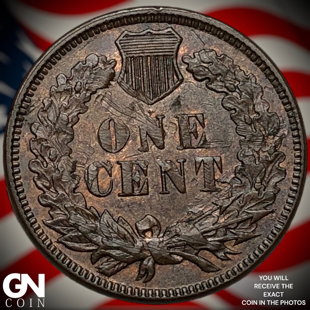 1889 Indian Head Cent Penny M8294
