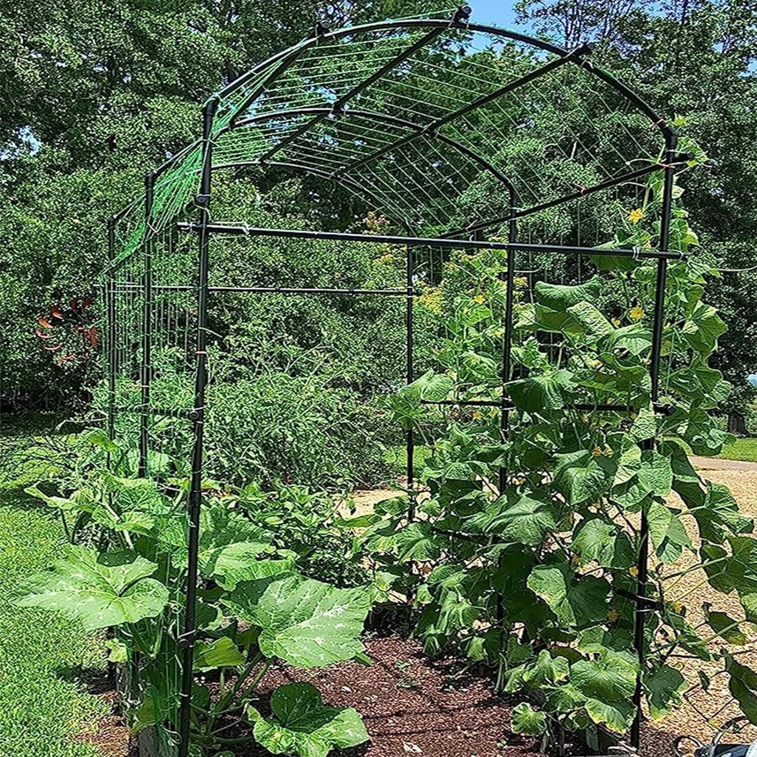 Garden Arch Trellis for Climbing Plants Plant Garden Archway Arch Tunnel Trellis