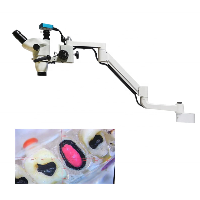 Dental Chair Unit Operating Microscope Endodontic Microscope + Camera Led Light