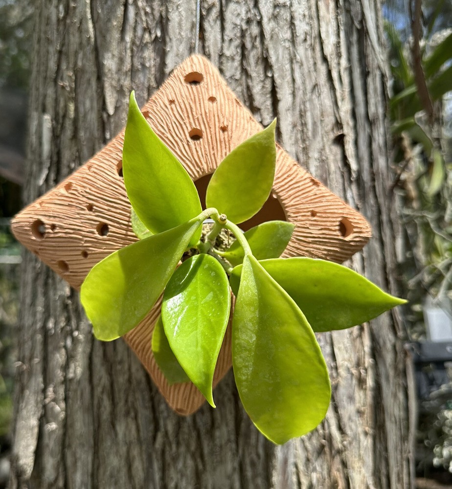 ARTISAN HANGING CRESCENT MOON PLANTER.