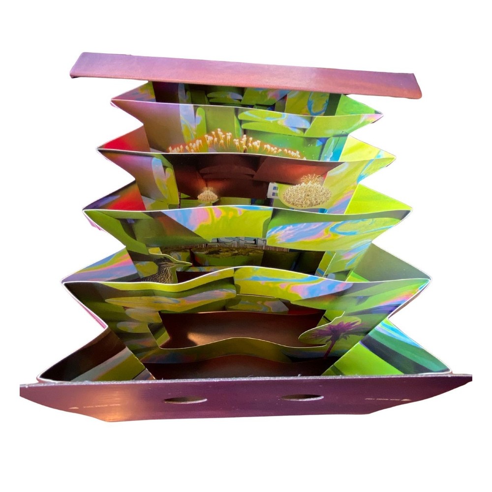 Coachella 2025 Package