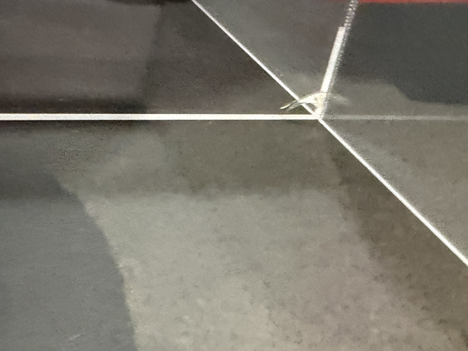 NASCAR Cup Series Mounted Memories 1:24 Display Case Fanatics