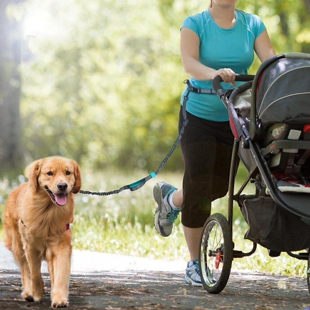 Dog Leash Belt Hands Free Running Jogging Walking Waist Pouch with Bungee Leash