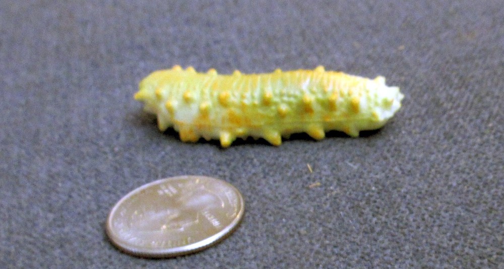 Unbranded SLUG Plastic Figure - 2¼" long