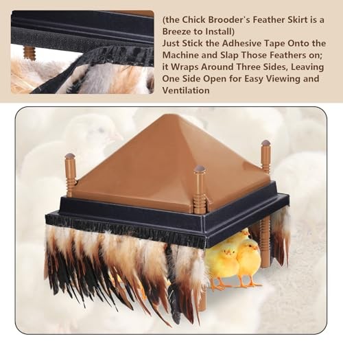 6.5FT Feathers for Chick Brooder Heating Plate,Warm and Secure As 1Pcs 6.5FT