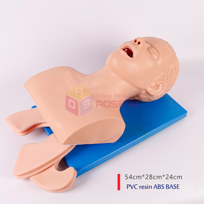 Intubation Manikin Study Teaching Model Training Manikins Patient Simulators