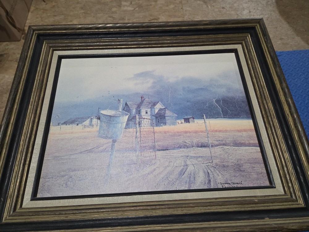 Sudden Thunder By Frank Hamilton