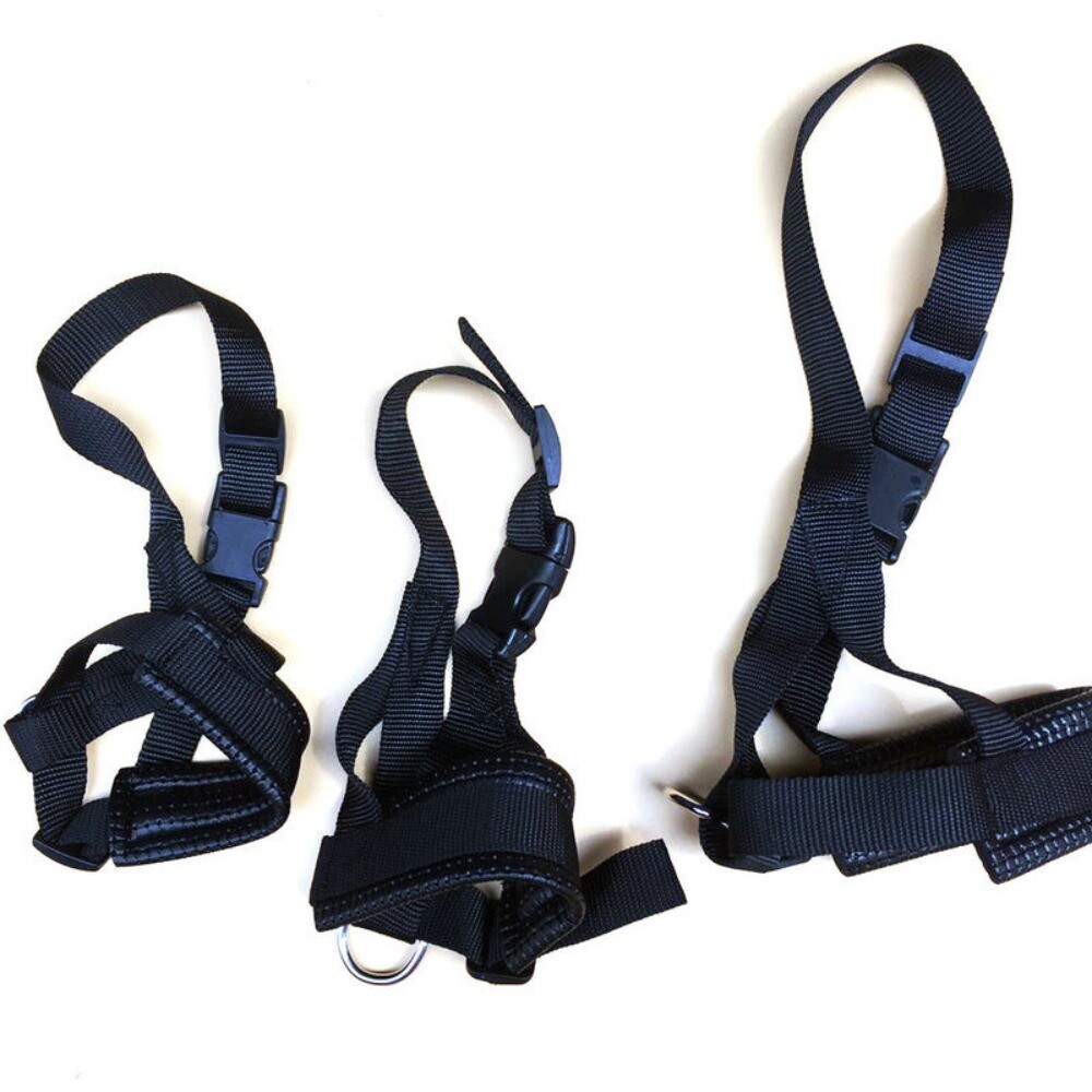 Adjustable Anti-biting Dog Muzzle Safe Collar Muzzle Pet Traction Halter Leash